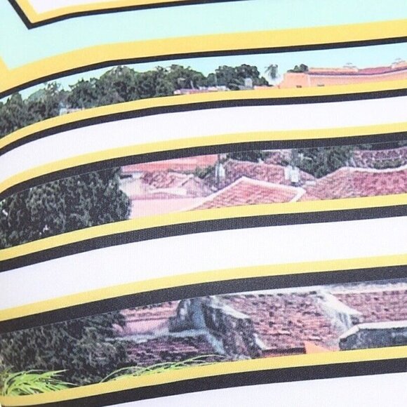 NWOT Clover Canyon Cuban Step Sleeveless Fit Flare Flounce Neoprene Dress Small - Picture 5 of 13